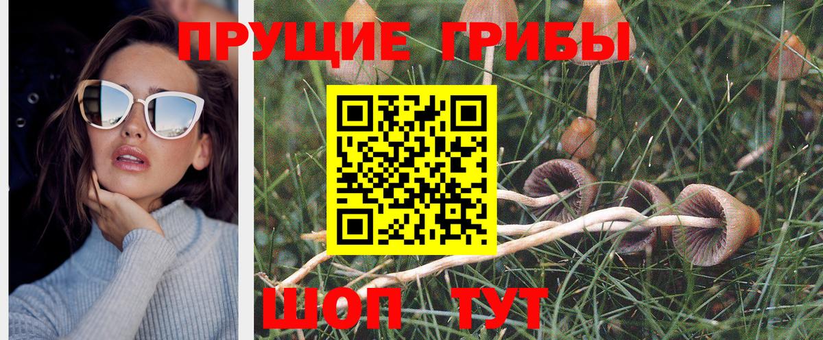 Псилоцибиновые грибы ЛСД Мурино